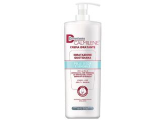 Dermovitamina calmilene 500 ml