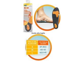 Scholl plantare lombare m 2 pezzi